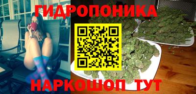 прущие грибы Владикавказ