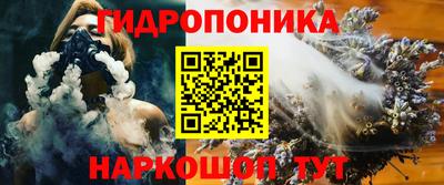 прущие грибы Владикавказ