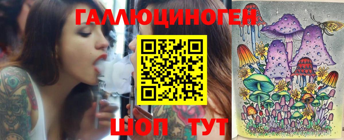 Галлюциногенные грибы Psilocybe Братск