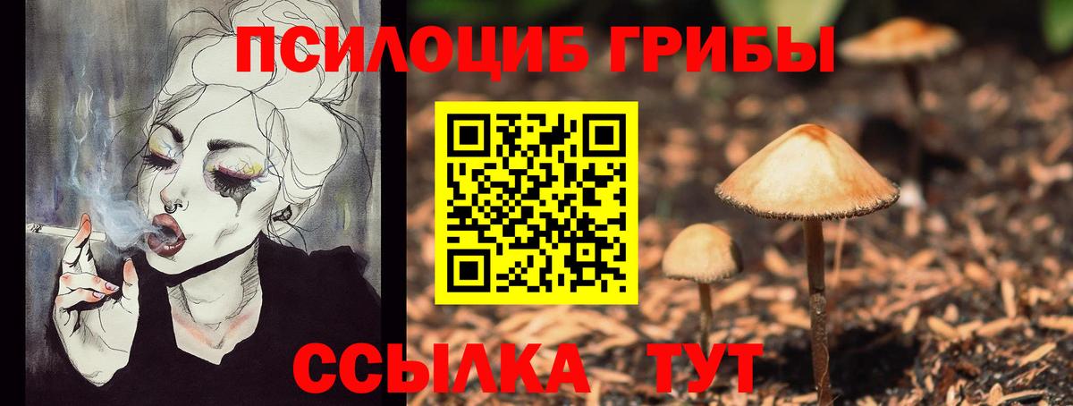 наркота  Галлюциногенные грибы Psilocybine cubensis  Вход с VPN  Братск 